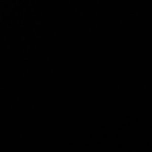 Meet your Posher, Leaeisa